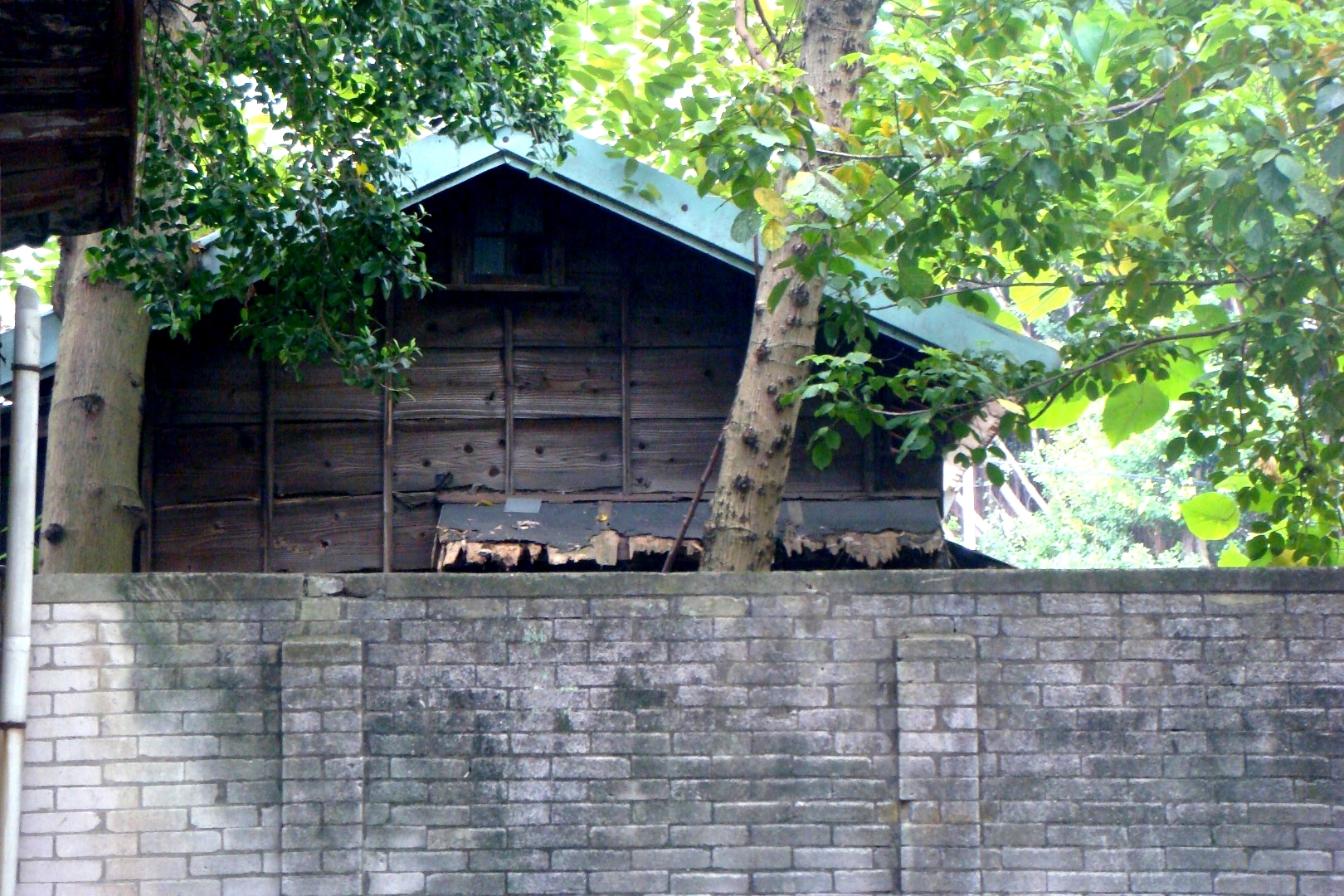 【景點】錦町日式宿舍群