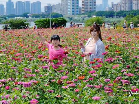 La temporada de floración en los parques ribereños de Taipei