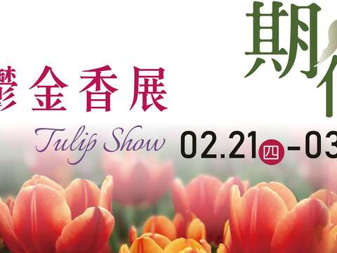 Triển lãm hoa Tulip (Uất Kim Hương) tại Nhà nghỉ Quan chức Sỹ Lâm 2019