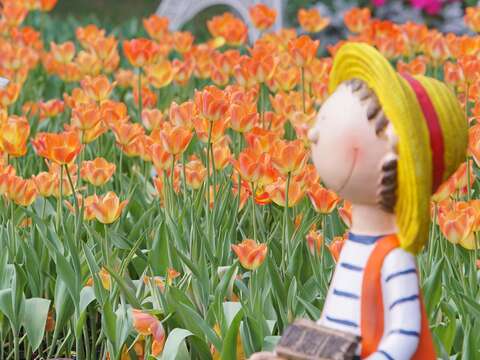 Mayor: Check Out theTulip Show at Shilin Residence