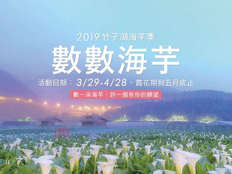 2019竹子湖カラー祭り –数数カラー 