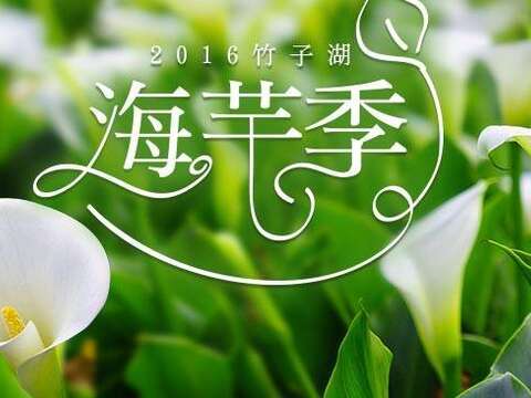 Estación de Flores de Jarro en Zhuzihu (Bamboo Lake) 2016