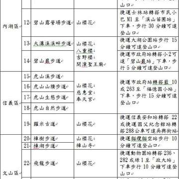臺北綻放粉嫩新希望　大地處邀您一同 賞櫻祈福迎新春