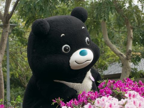 熊讚邀請Hello Kitty參與台北杜鵑花季  一起實現「屬於我們的約定」
