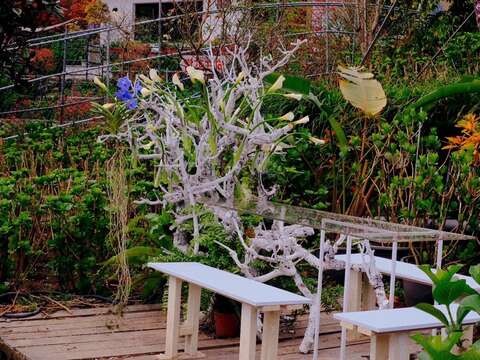 千元有找 竹子湖花季限定春遊之旅 浪漫滿點花田餐桌芋你共享