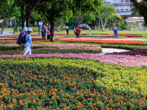 Biển hoa đợt đầu ra mắt tại Công viên ven sông Diên Bình