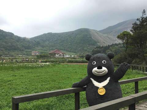 台灣黑「熊」西門町快閃派報 宣傳「#登高台北」
