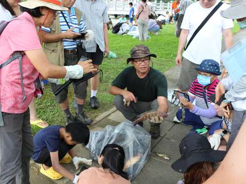Invasive Species Removal Workshop Takes Place at Parks in Neihu District