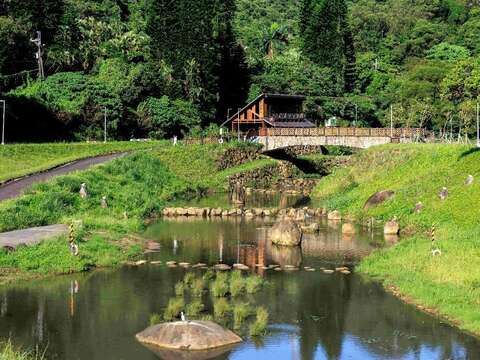 Summer Exclusive! Discover 76 Dragonfly Species at Neihu's Jinrui Flood Management Park