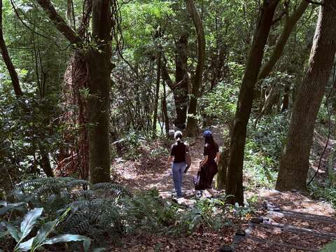 台北郊外ミニトリップ　山林と温泉を楽しむ