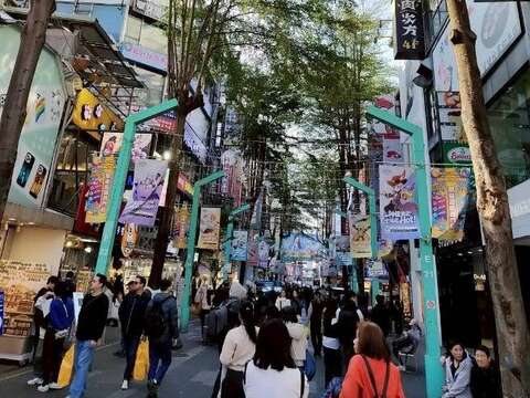 西门町商圈最佳绿叶  优质林荫陪您春节散步趣