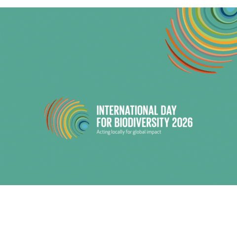 国际生物多样性日 城市野生动物现踪