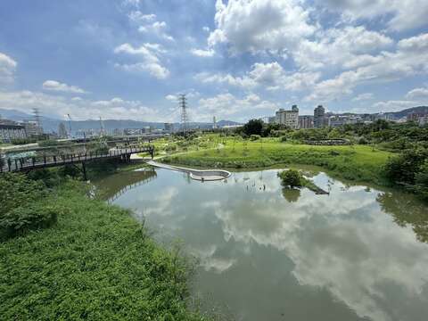 復育極危原生植物 雙溪濕地公園啟動異地保種