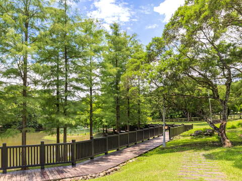 Indigenous People's Park