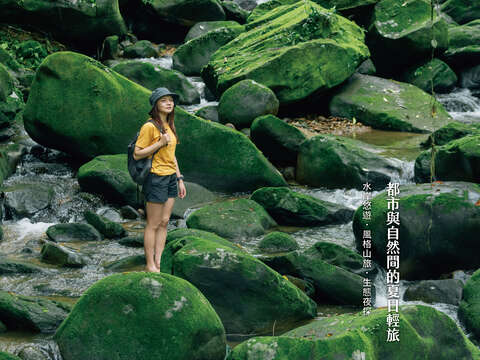 台北画刊681期