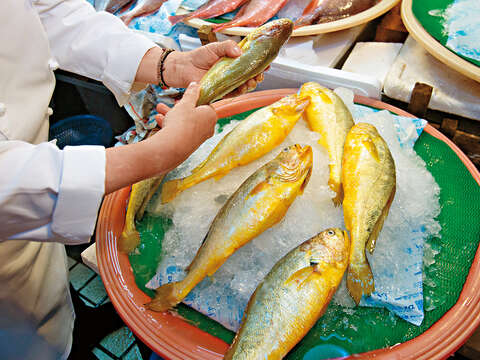 北投市場販賣的魚貨很多元。（攝影／林煒凱）