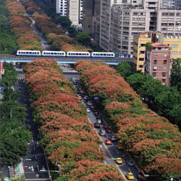 台北捷運路網越來越綿密，如同人體血管一般，載著民眾往目的地邁進。（王能祐攝）