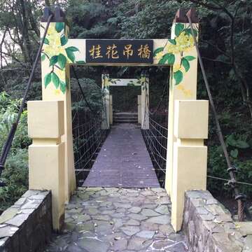 桂花吊橋