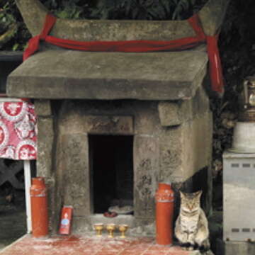 吳毅平曾在平溪一 間小土地公廟旁，拍攝到一隻正氣凜然的「福德正貓」。（圖／吳毅平提供）