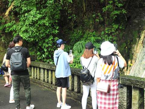 陽明山豐富自然生態吸引上海媒體旅遊達人目光.JPG