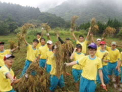 學生們一同參與蓬萊米的種植，享受豐收後的喜悅。（中華民國綠野生態保育協會提供）