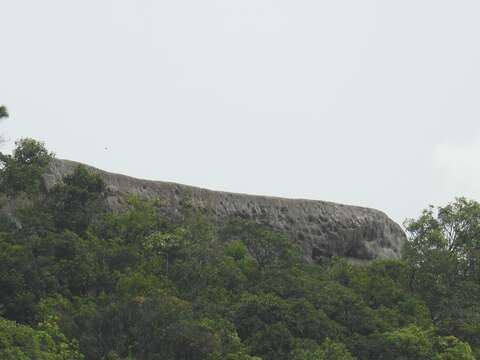 龍船岩-像一艘石船停泊在山巒上