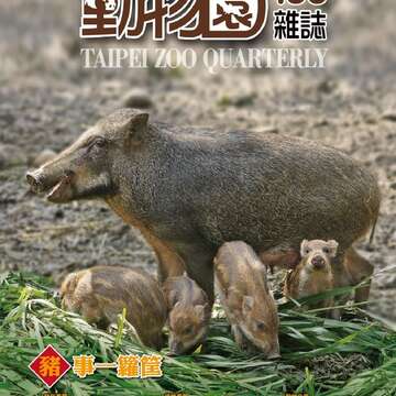臺北市立動物園蒐羅一系列與「豬」相關的小常識，預計以特展及雜誌出版的形式，和民眾分享資訊