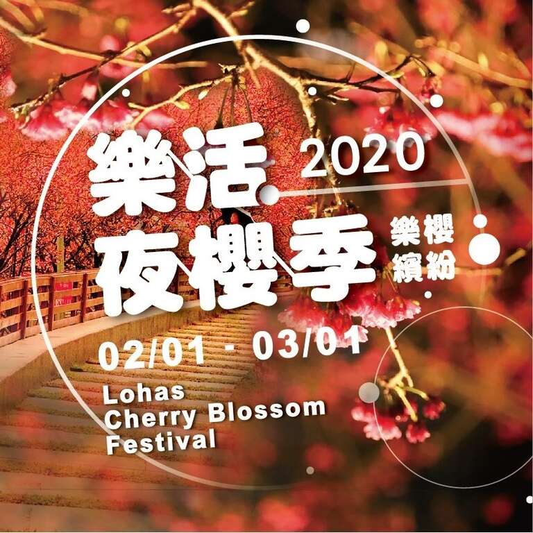 2020 러훠 밤벚꽃 시즌