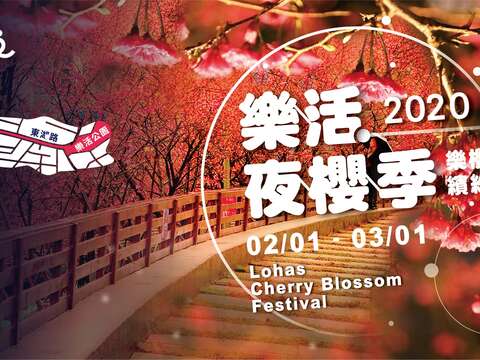 Yozakura Viewing at the 2020 Neihu LOHAS Cherry Blossom Festival