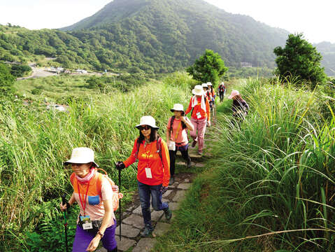 Yangmingshan National Park is especially suitable for friends and families who like outdoor activities. (Photo / Taiwan Scene)