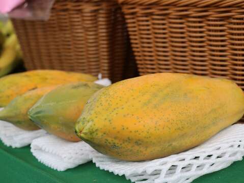 南投、嘉義縣市週都可以購買到香甜美味的木瓜。