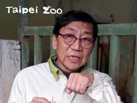 動物保育員張天勇在1986年進入動物園服務，跟著前輩們籌備史上第一次的動物大搬遷