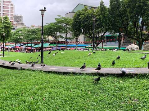 Xinzhongshan Linear Park – A Landmark Public Space in Taipei