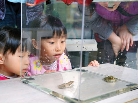 Children can also learn about the creatures that live there by joining the branch's environmental education activities. (Photo/Nanmen Park Branch of National Taiwan Museum)