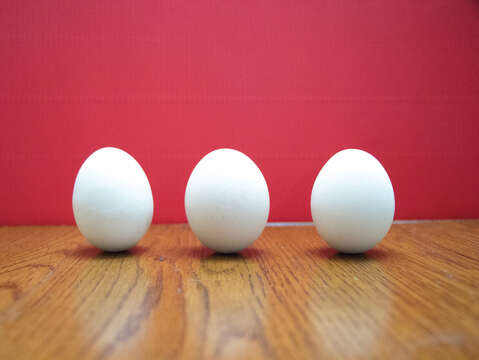 端午節の正午になったら卵を立てて幸運を得ましょう！( 写真/ Taiwan Scene )