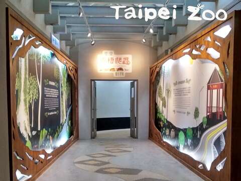 「臺灣兩棲爬蟲動物特展」端午節隆重開幕