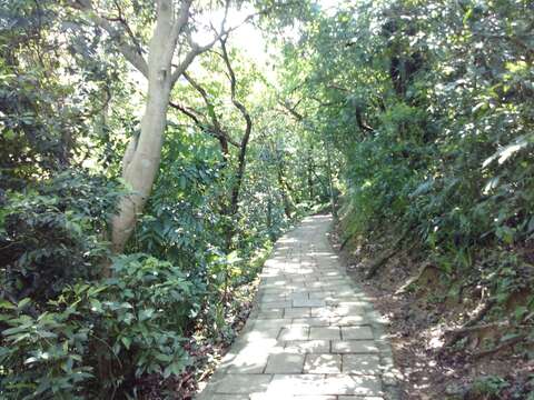 06山腰步道林蔭較茂密，夏季走來較為輕鬆。