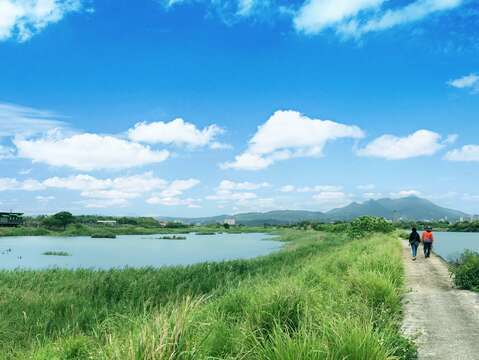 社子島濕地為台北人台北人帶來最療癒的自然生態。