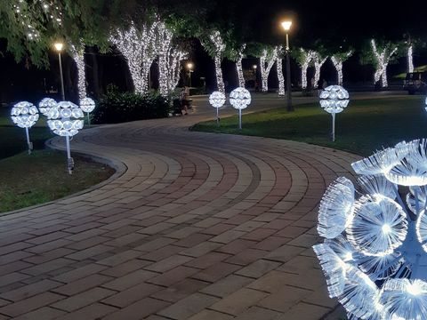 內湖區大湖公園周邊燈飾