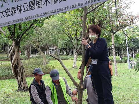 黃珊珊副市長示範正確樹木修剪