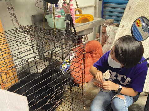 The TSPCA is the only NGO in Taiwan that goes to every corner of the country to investigate possible cases of cruelty to animals.
