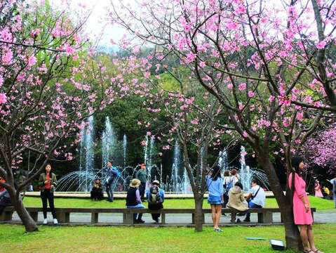 2021 El festival de las flores de Yangmingshan