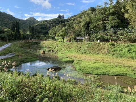Jinrui Flood Management Park: Hidden Gem of Neihu District
