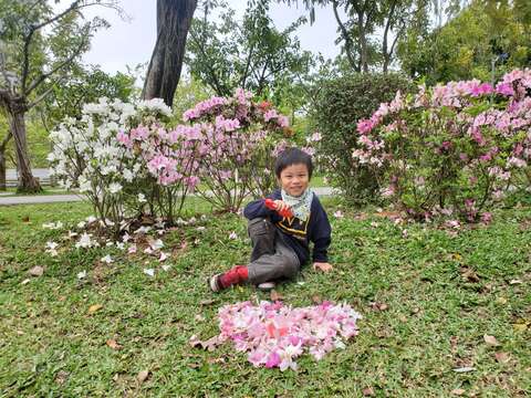 大人小孩皆可於杜鵑花叢間捕捉美景