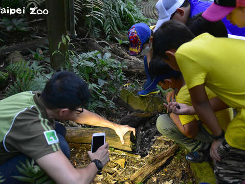 動物園邀請大家一起來探索甲蟲森林的奧秘，深化環境維護的重要性