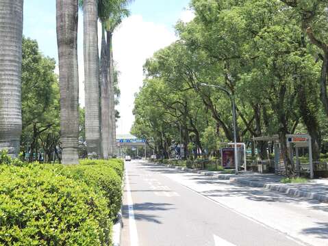 仁愛路在臺北市交通扮演著舉足輕重的角色，為臺北市東西向重要幹道之一，路中央佈設公共汽車專用道