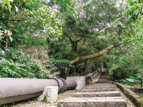 Tianmu Old Trail was once a path where mountain spring water was drawn from Yangmingshan. Today, the long water pipe that delivered the water remains. (Photo/Yenyi Lin)