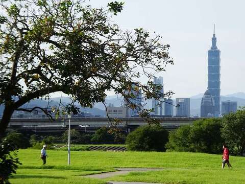 美堤河濱公園擁有廣大的綠地 還可遠眺101大樓