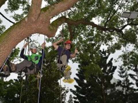 Tree-climbing Event at Daan Forest Park Promotes Environmental Awareness