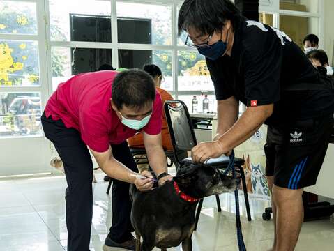 市民帶狗狗參與「萬箭齊發」狂犬病疫苗注射活動